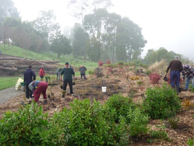 Don supervising at LSP  August 2011 Cambridge Tree Trust